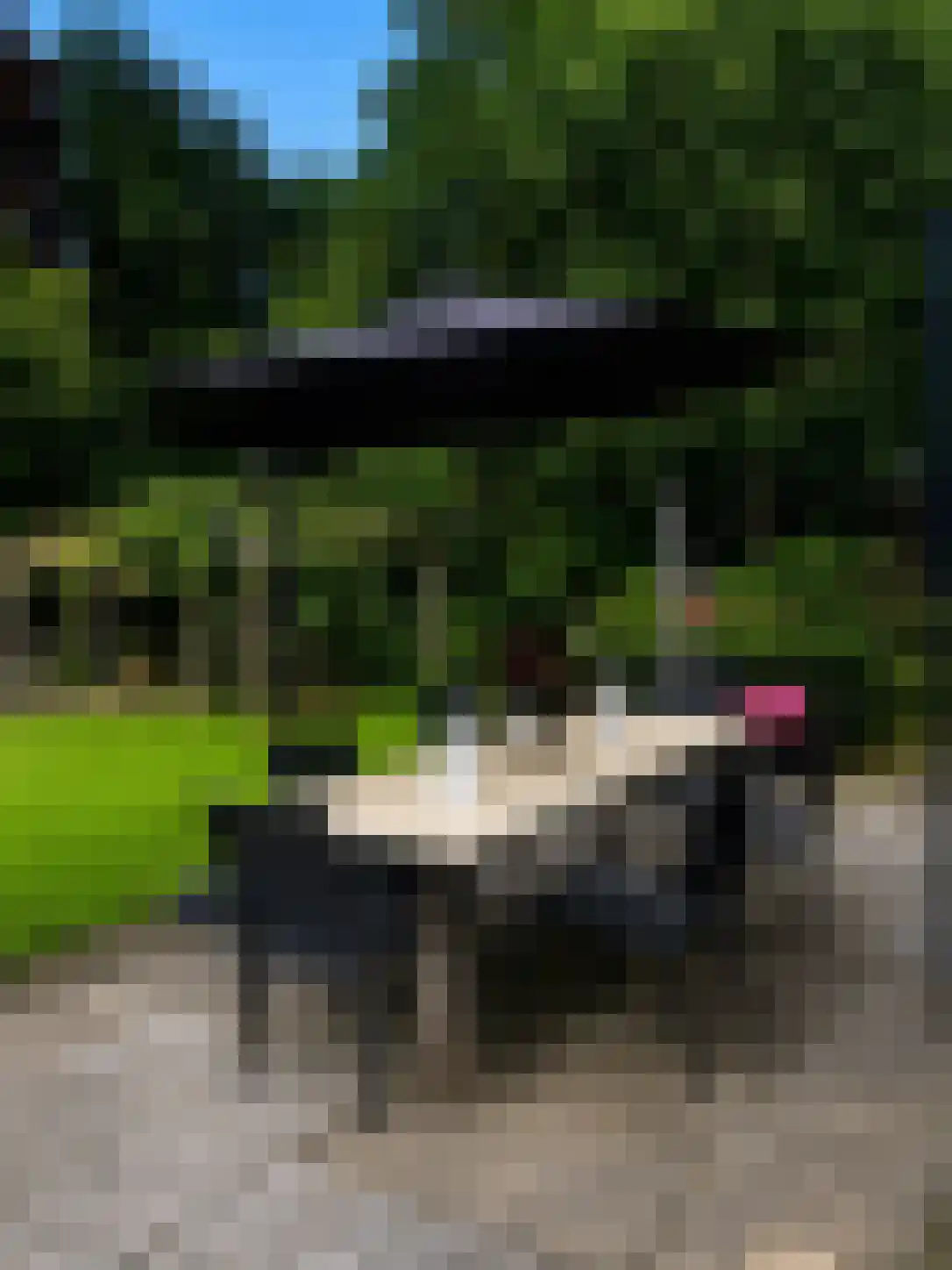 Kerkedennen 22 Borne thumbnail 92