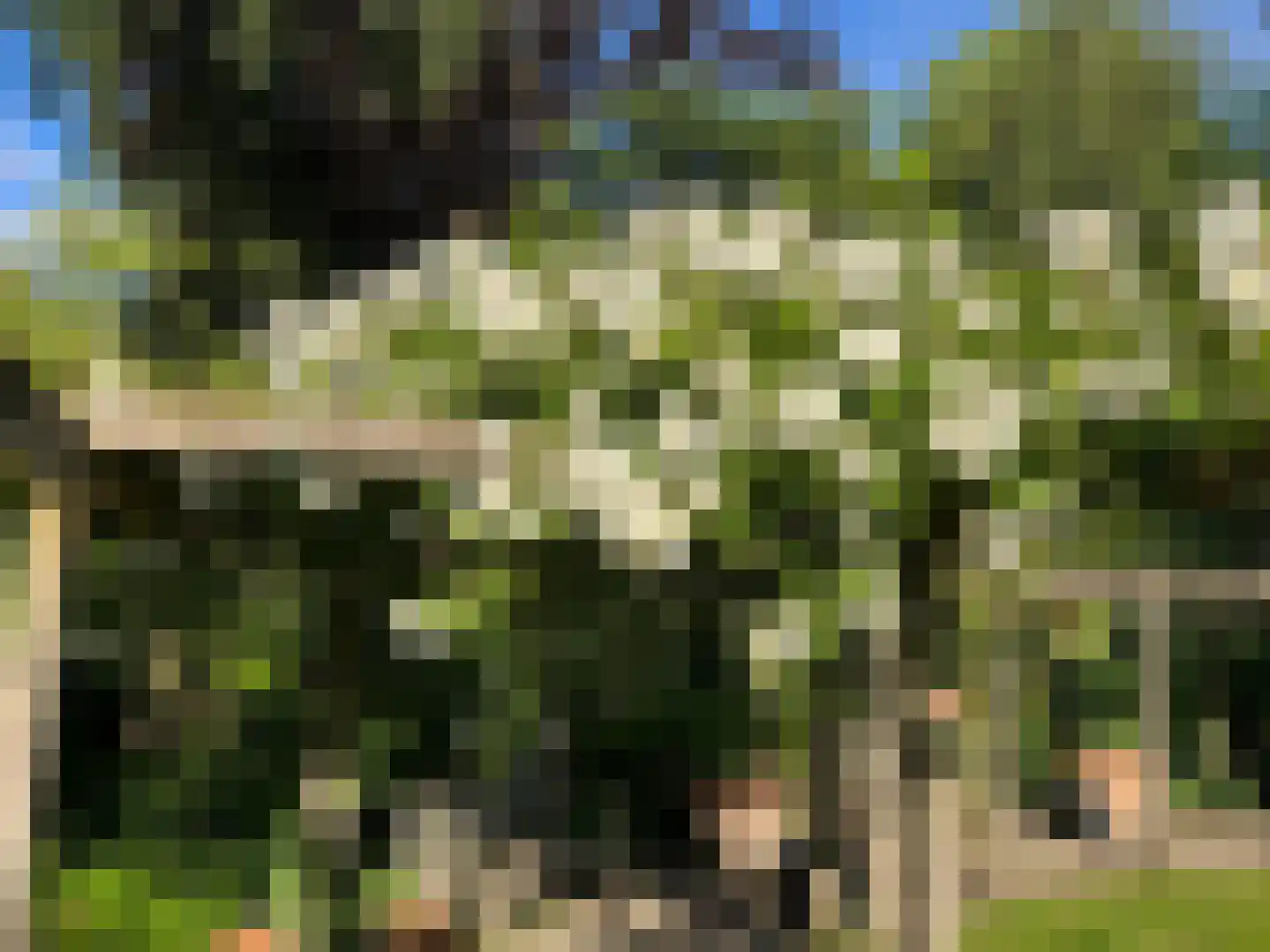 Kerkedennen 22 Borne thumbnail 93