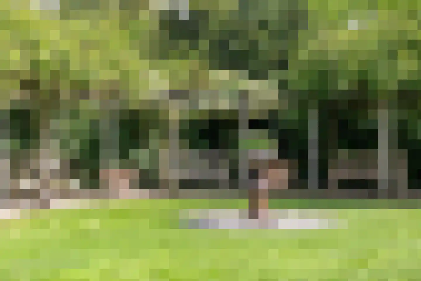 Kerkedennen 22 Borne thumbnail 94