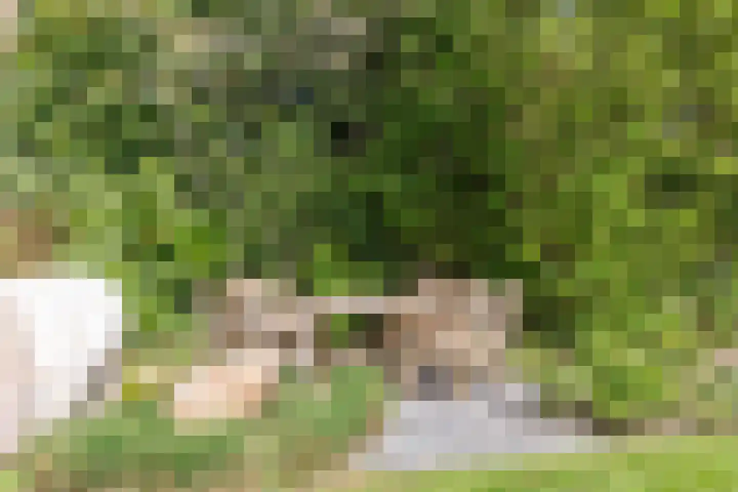 Kerkedennen 22 Borne thumbnail 96