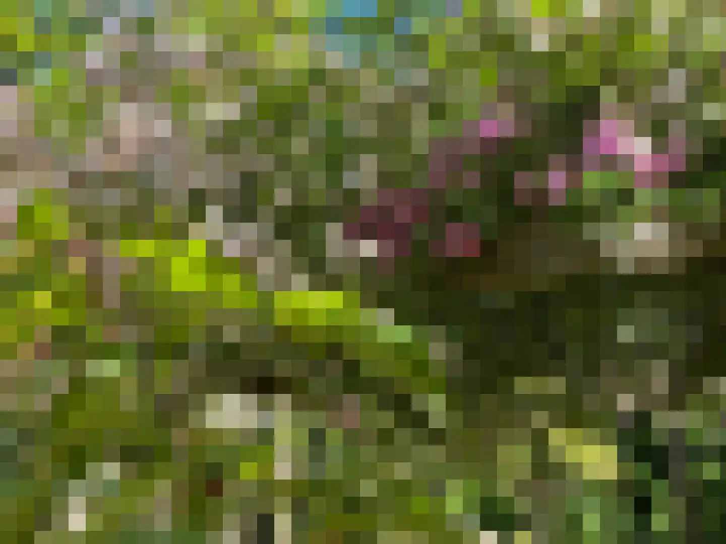 Kerkedennen 22 Borne thumbnail 97