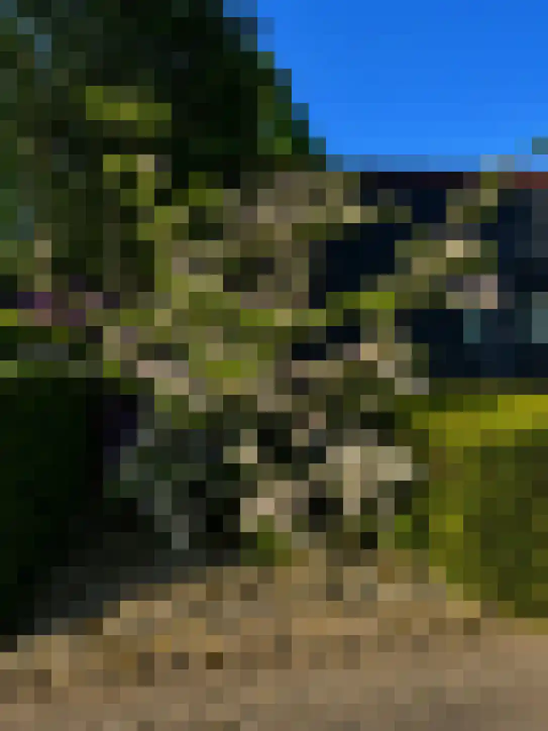 Kerkedennen 22 Borne thumbnail 98