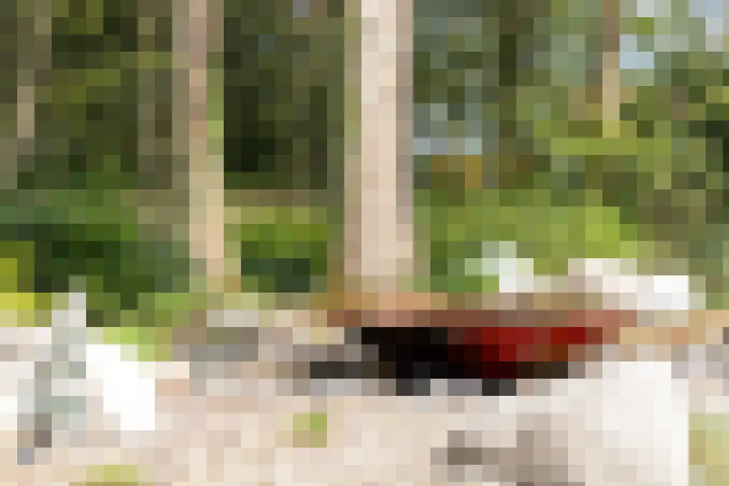 Kerkedennen 22 Borne thumbnail 99