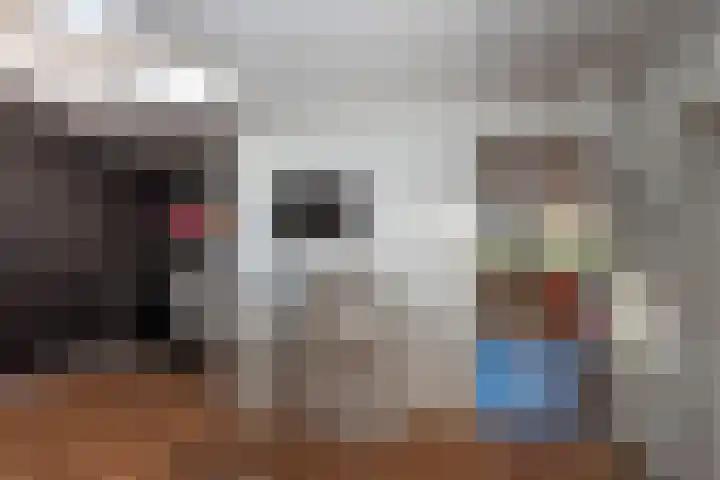 Kerkedennen 36 Borne thumbnail 22
