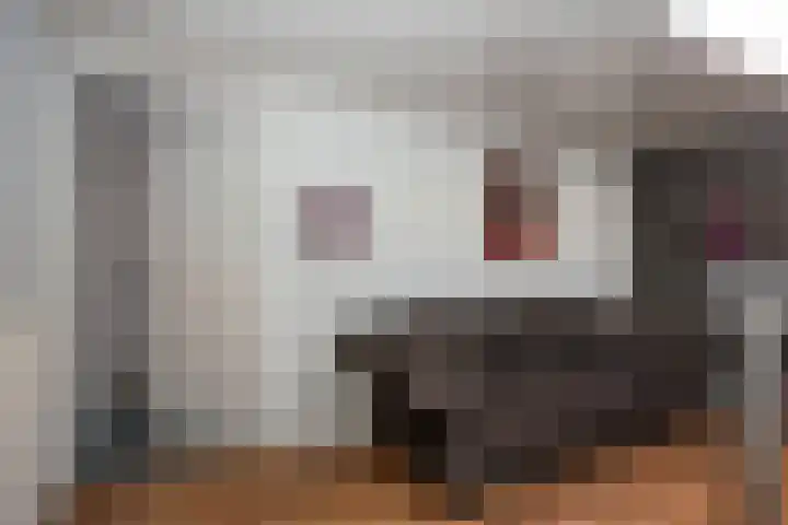Kerkedennen 36 Borne thumbnail 23