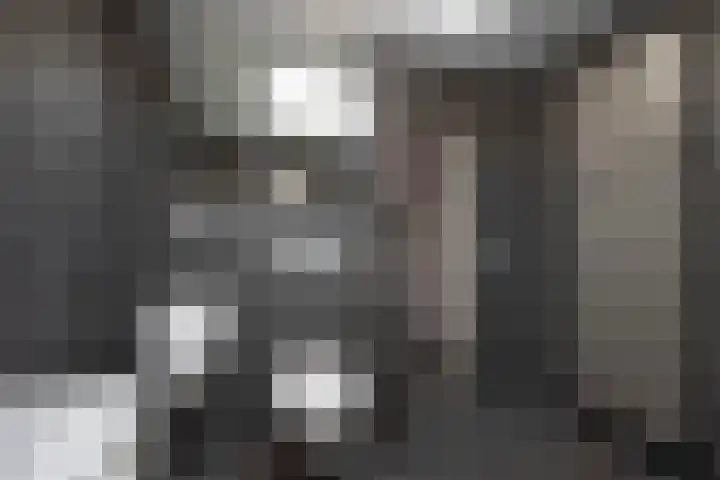 Kerkedennen 36 Borne thumbnail 26