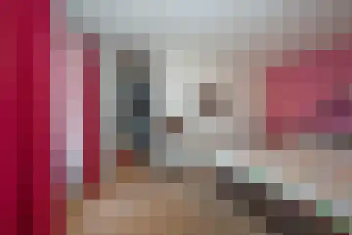 Kerkedennen 36 Borne thumbnail 27