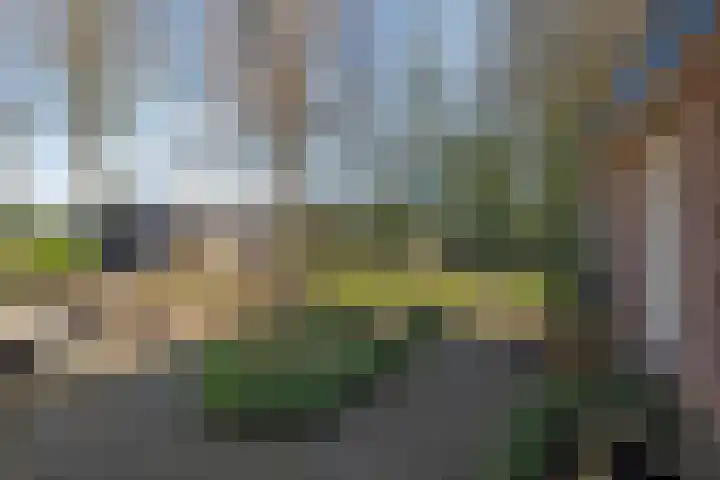 Kerkedennen 36 Borne thumbnail 38
