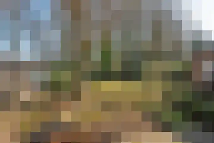 Kerkedennen 36 Borne thumbnail 39