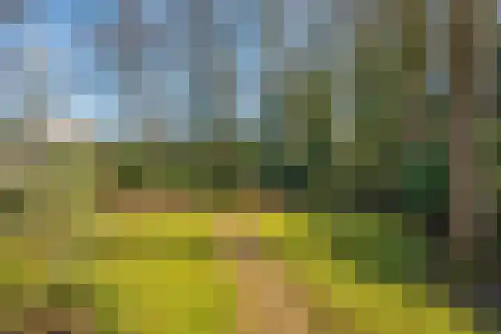 Kerkedennen 36 Borne thumbnail 4