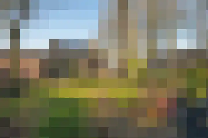 Kerkedennen 36 Borne thumbnail 40