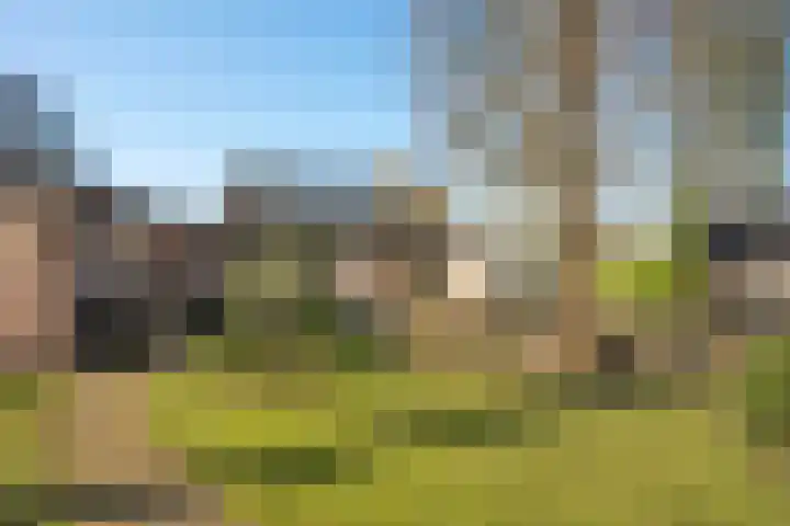 Kerkedennen 36 Borne thumbnail 41