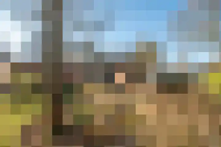 Kerkedennen 36 Borne thumbnail 42