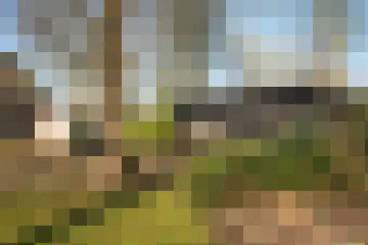 Kerkedennen 36 Borne thumbnail 43