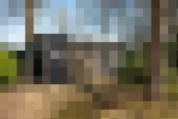 Kerkedennen 36 Borne thumbnail 44