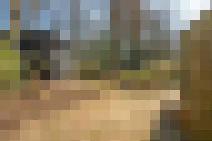 Kerkedennen 36 Borne thumbnail 45