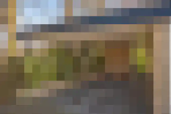 Kerkedennen 36 Borne thumbnail 47