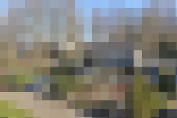 Kerkedennen 36 Borne thumbnail 50