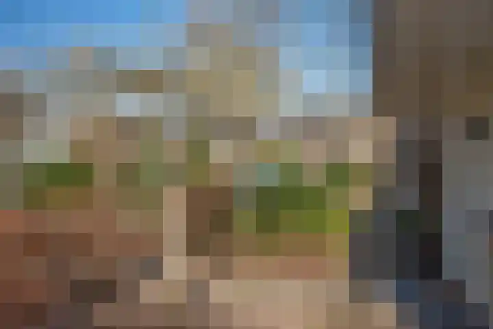 Kerkedennen 36 Borne thumbnail 6