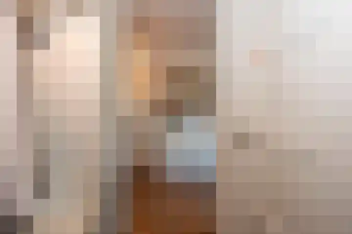 Kerkedennen 36 Borne thumbnail 8