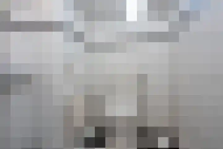Kerkedennen 36 Borne thumbnail 9