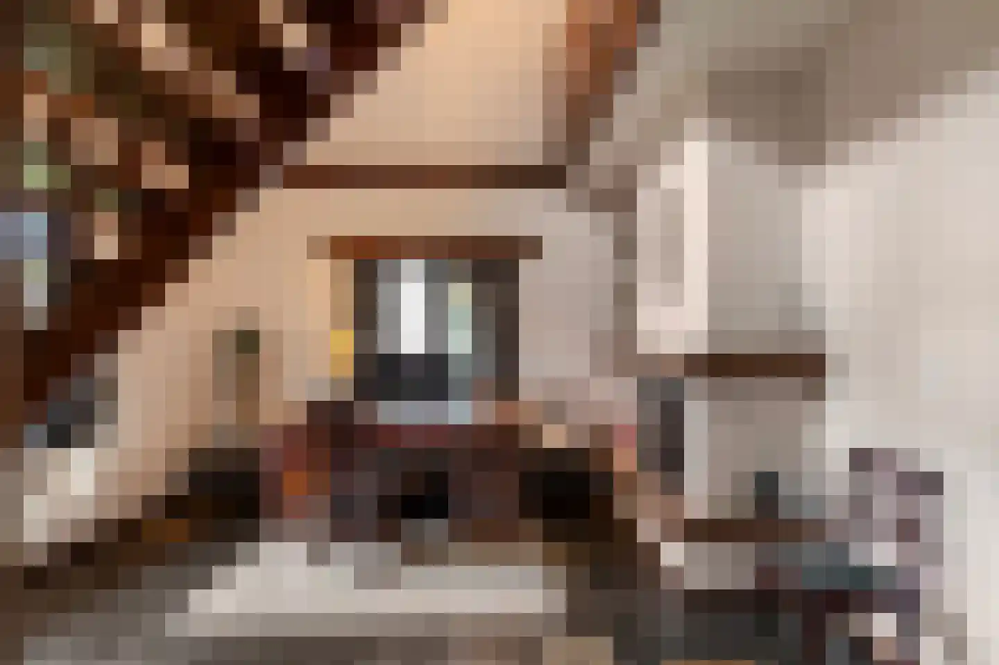 Kerkedennen 51 Borne thumbnail 11