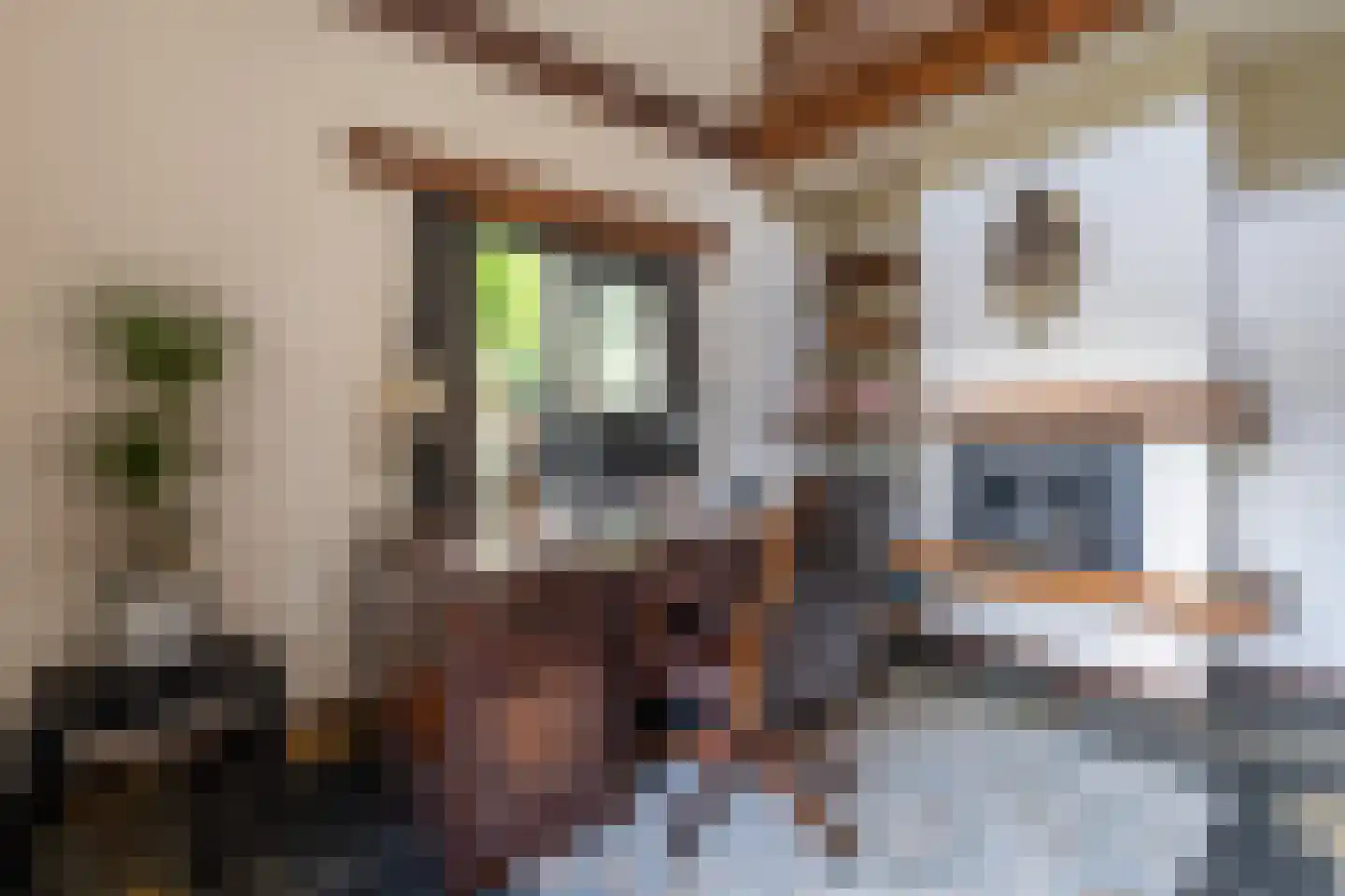 Kerkedennen 51 Borne thumbnail 12