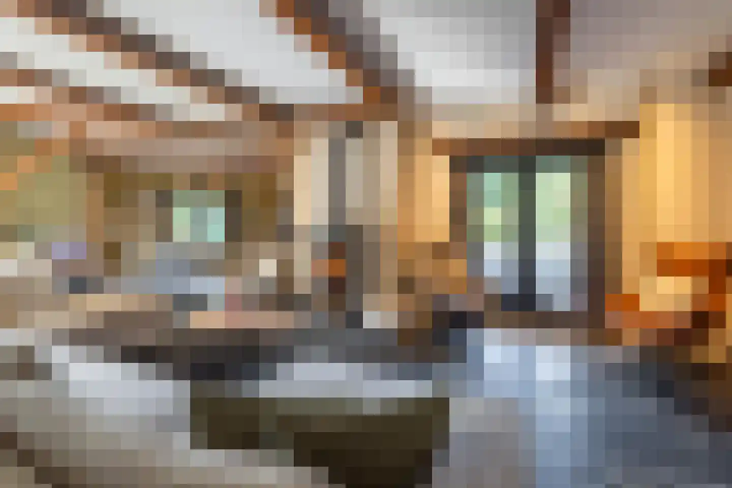 Kerkedennen 51 Borne thumbnail 13