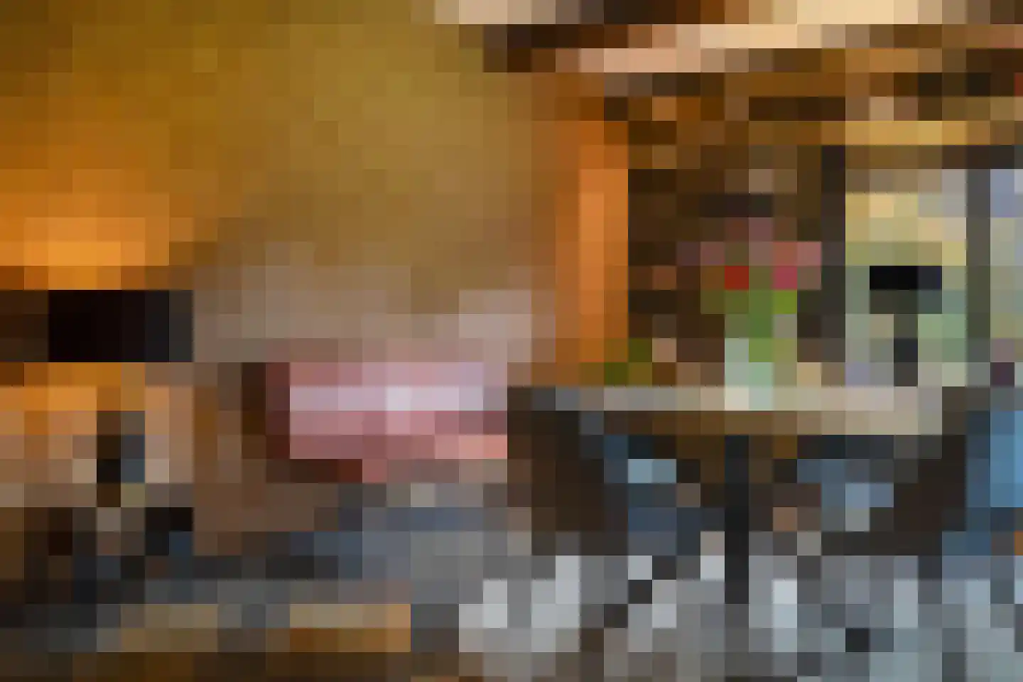 Kerkedennen 51 Borne thumbnail 17