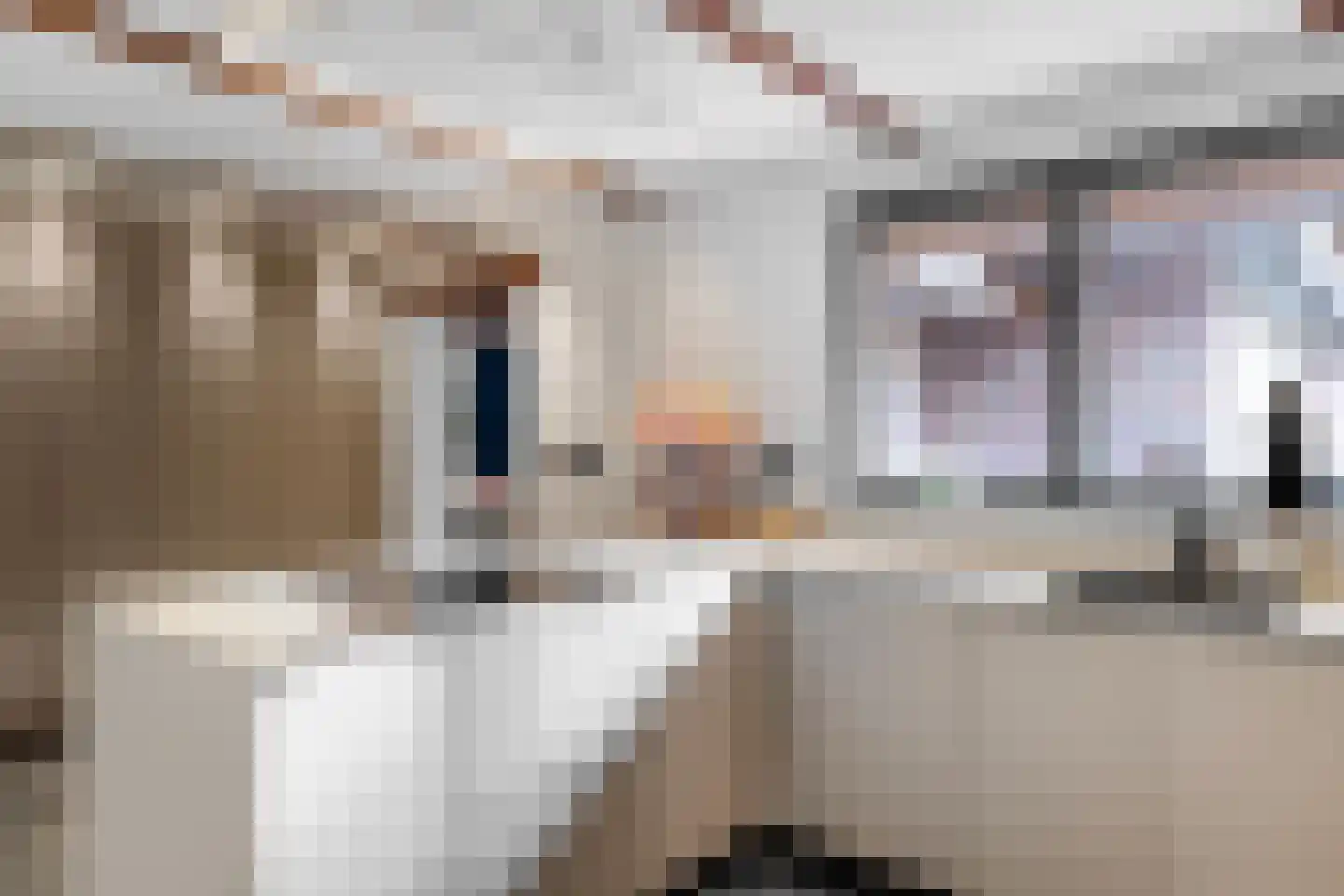 Kerkedennen 51 Borne thumbnail 26
