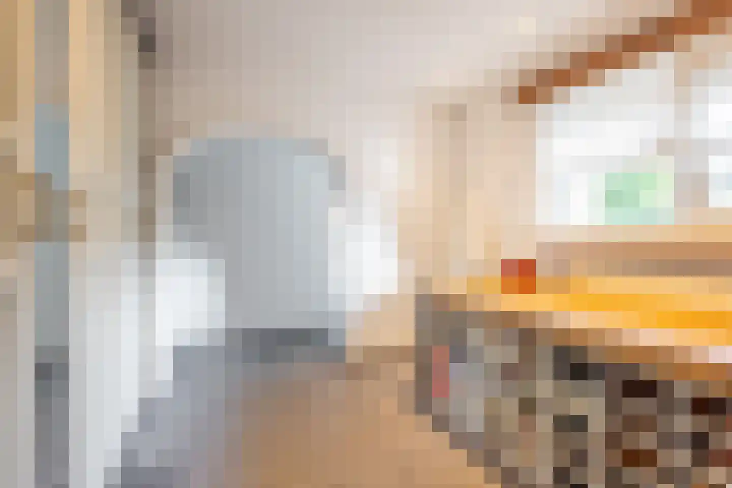 Kerkedennen 51 Borne thumbnail 31