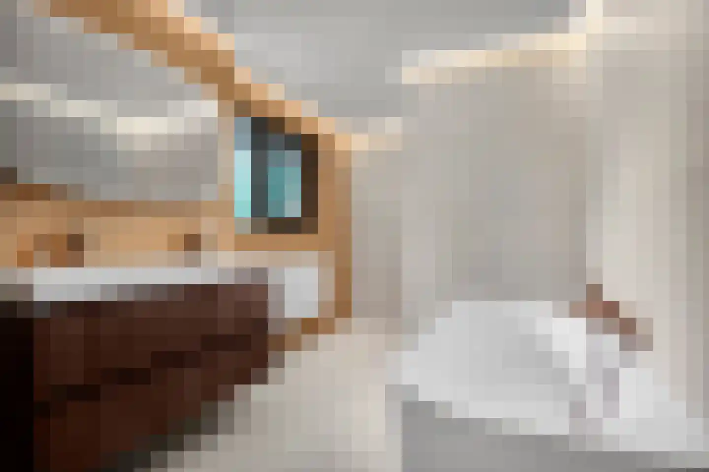 Kerkedennen 51 Borne thumbnail 36