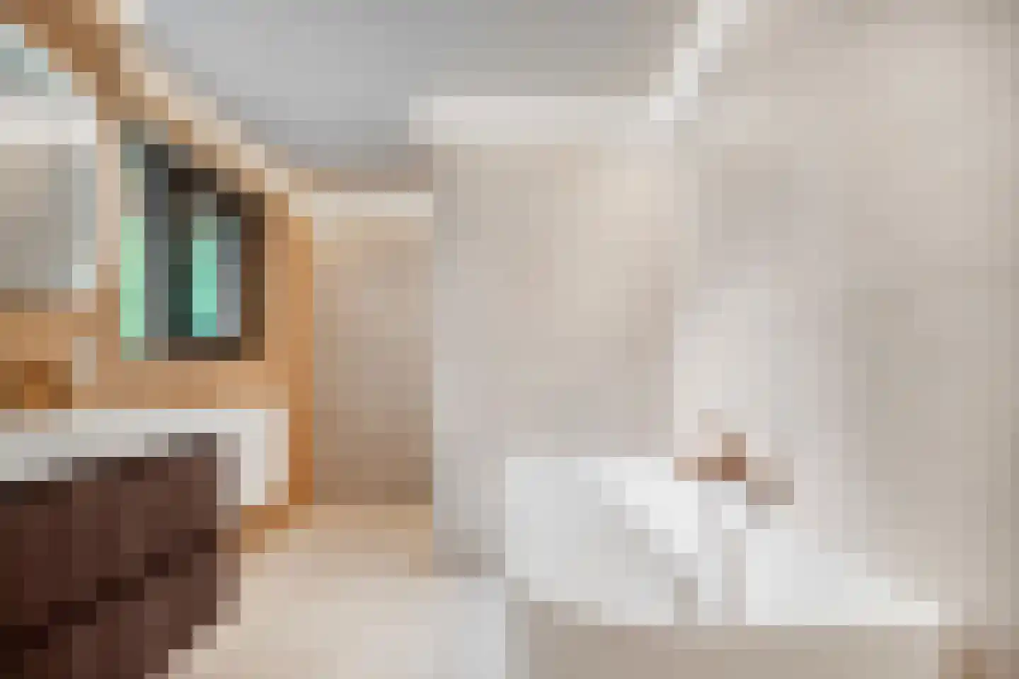 Kerkedennen 51 Borne thumbnail 37