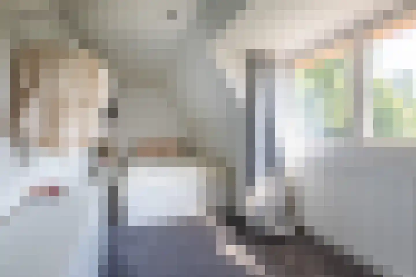 Kerkedennen 51 Borne thumbnail 45