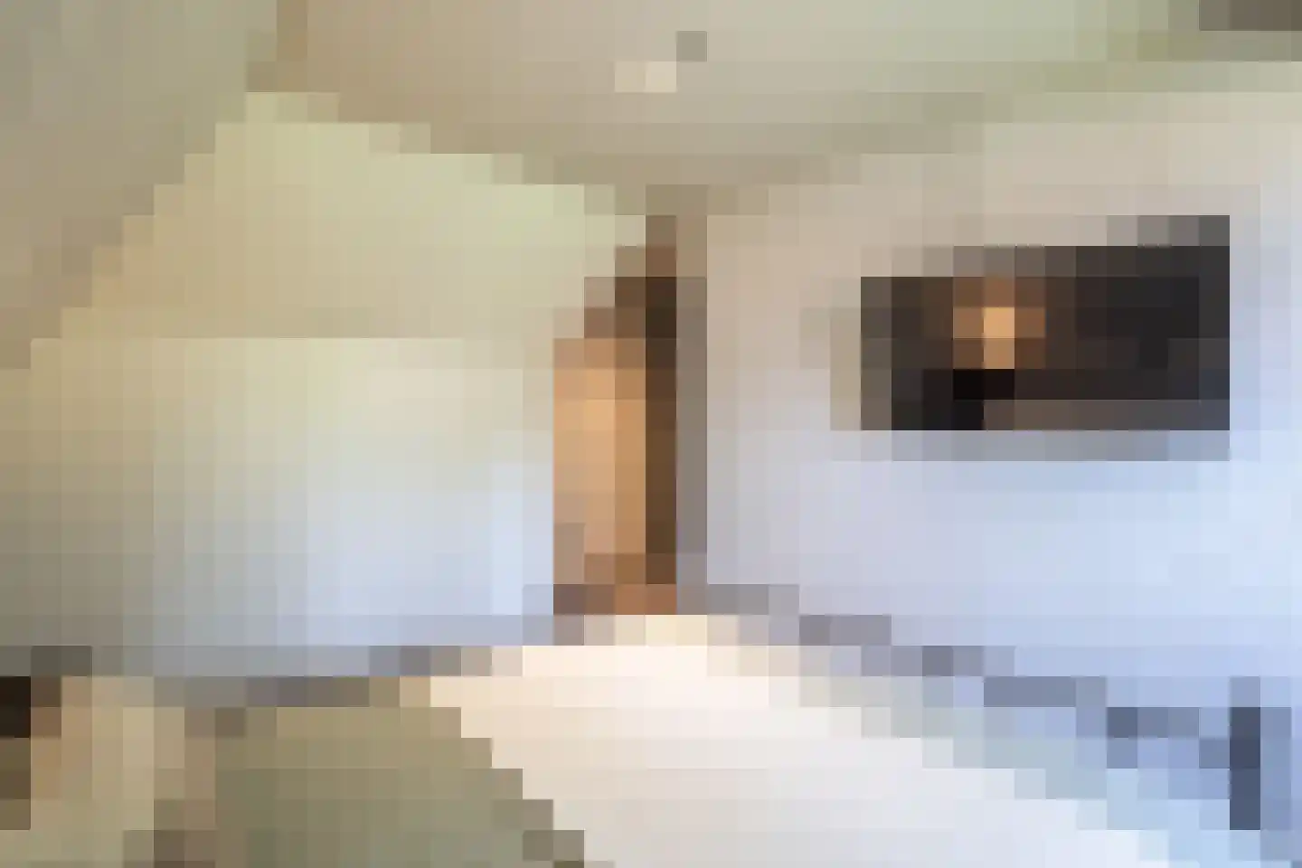 Kerkedennen 51 Borne thumbnail 49