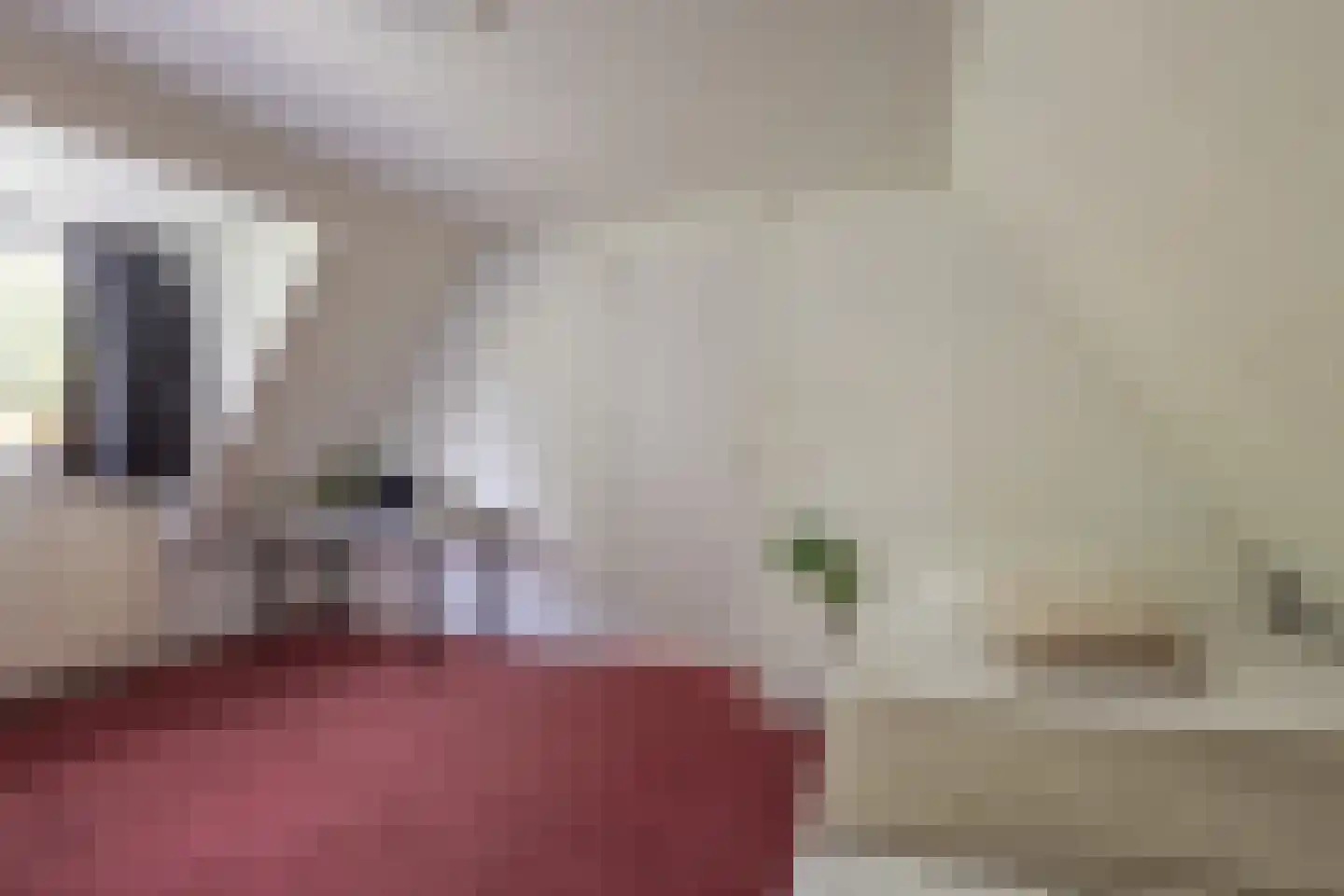 Kerkedennen 51 Borne thumbnail 55