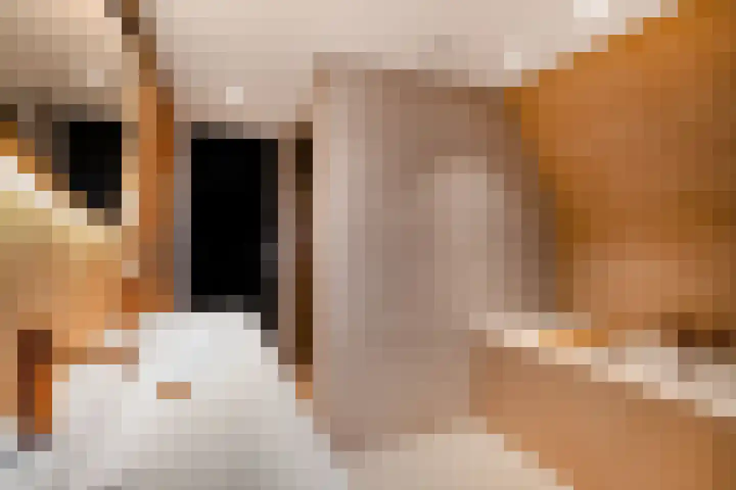 Kerkedennen 51 Borne thumbnail 58