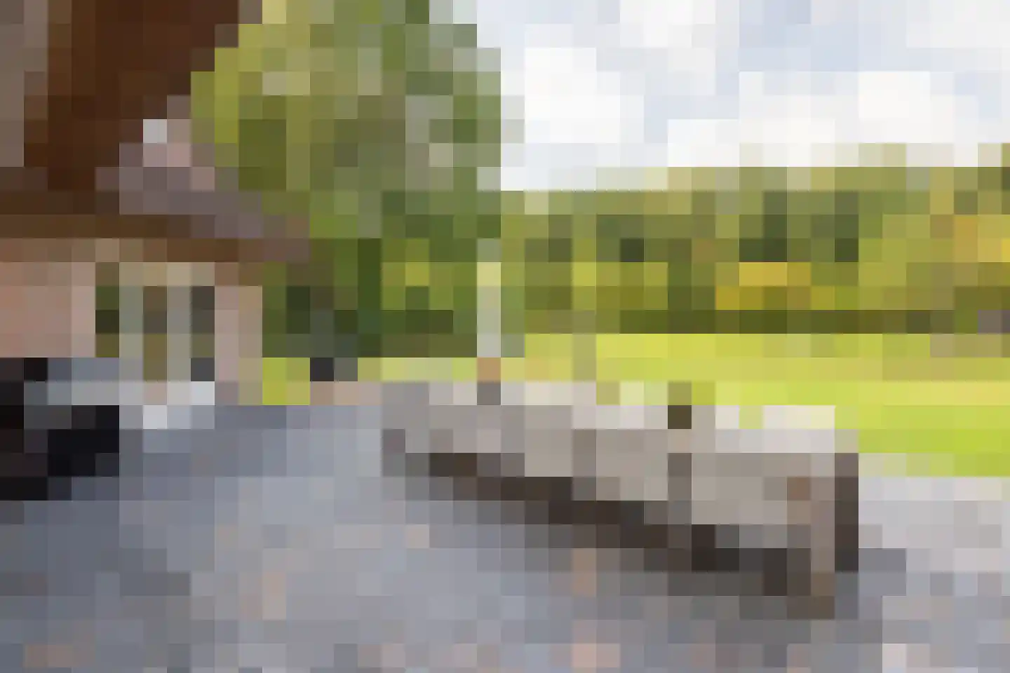 Kerkedennen 51 Borne thumbnail 64