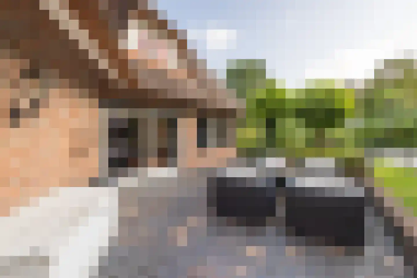 Kerkedennen 51 Borne thumbnail 65