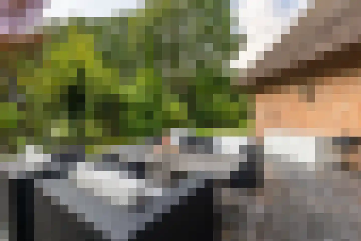 Kerkedennen 51 Borne thumbnail 66