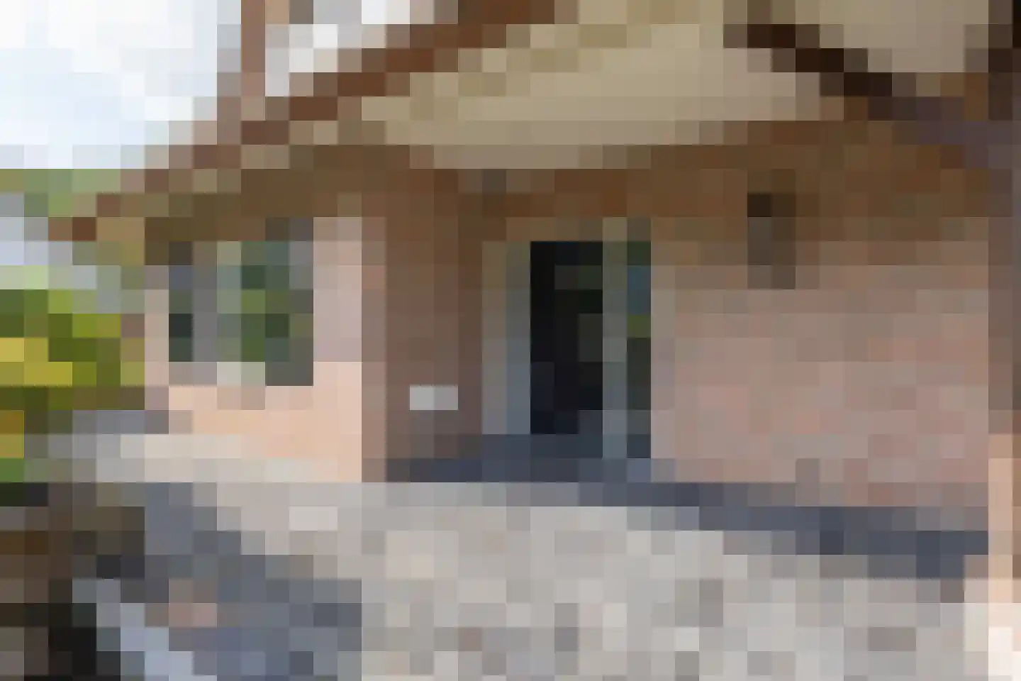Kerkedennen 51 Borne thumbnail 7