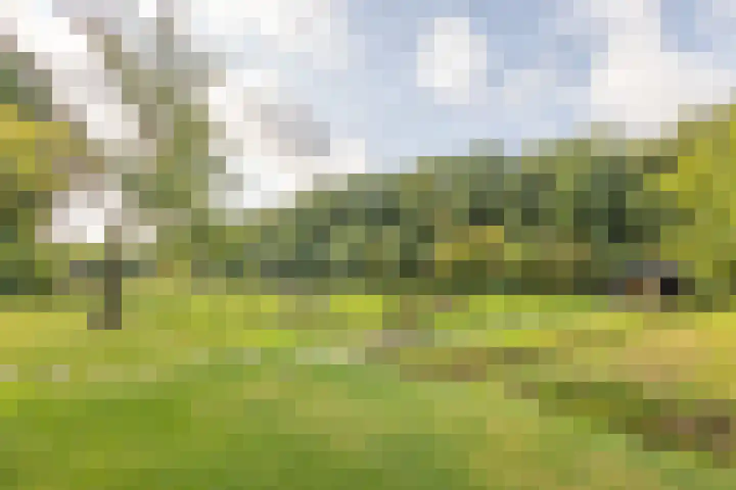 Kerkedennen 51 Borne thumbnail 70