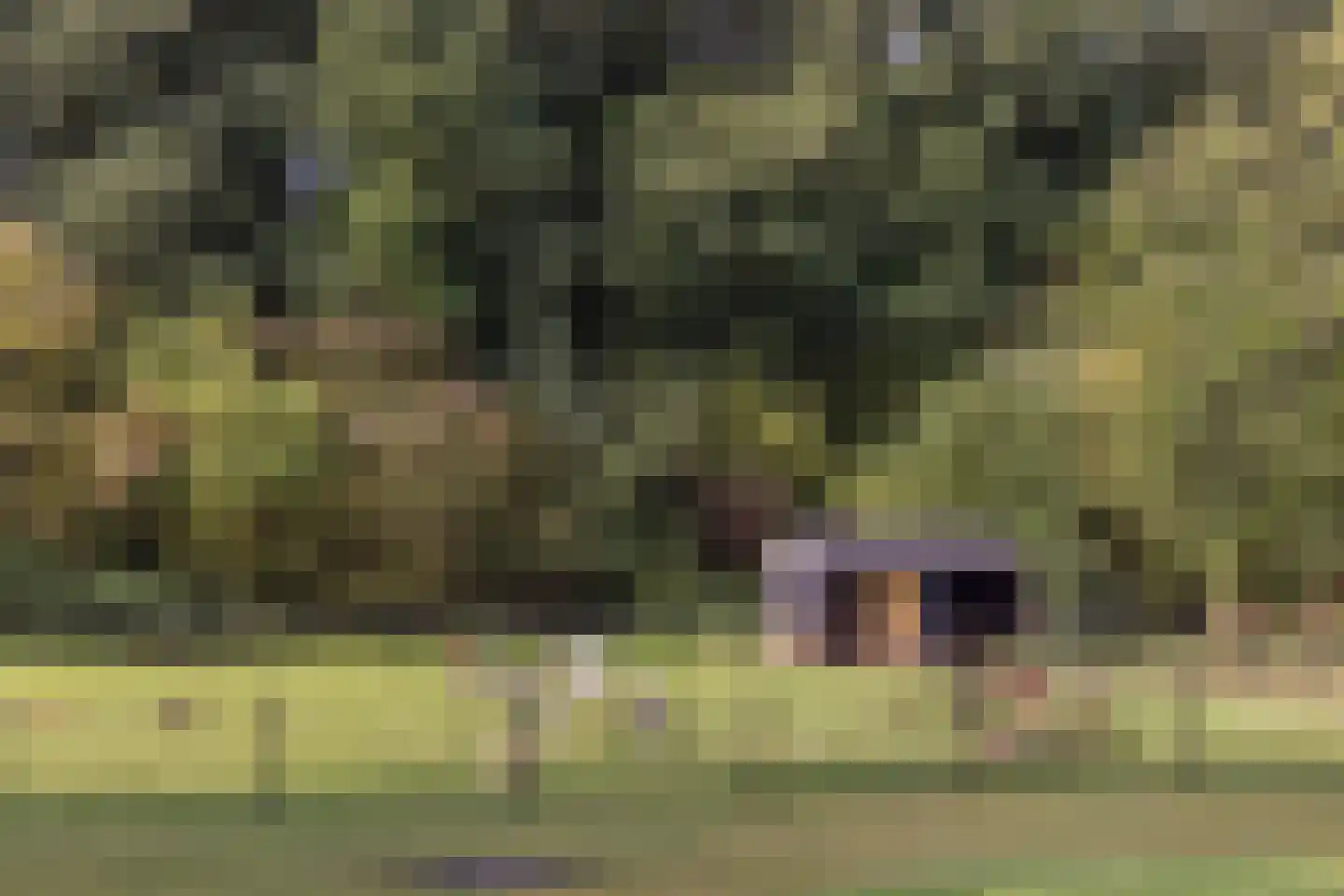 Kerkedennen 51 Borne thumbnail 71