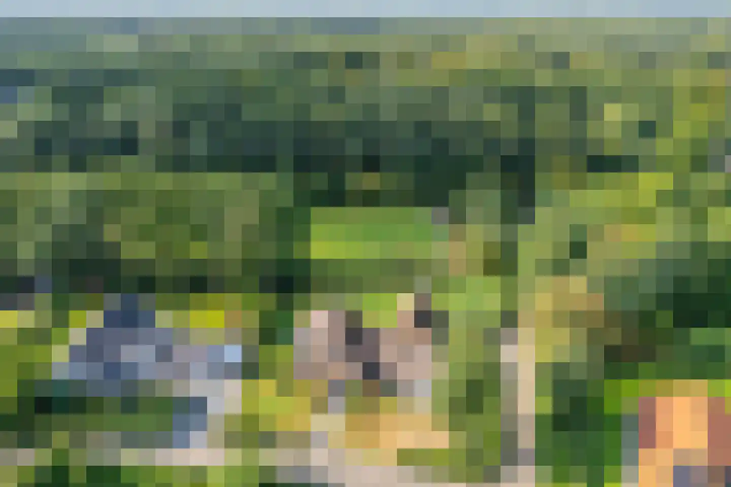 Kerkedennen 51 Borne thumbnail 72