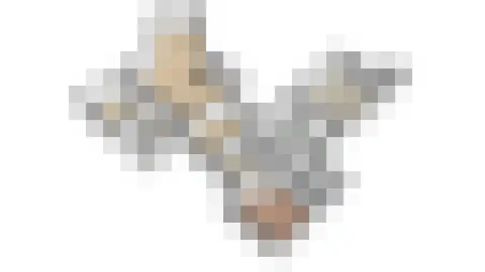 Kerkedennen 51 Borne thumbnail 76