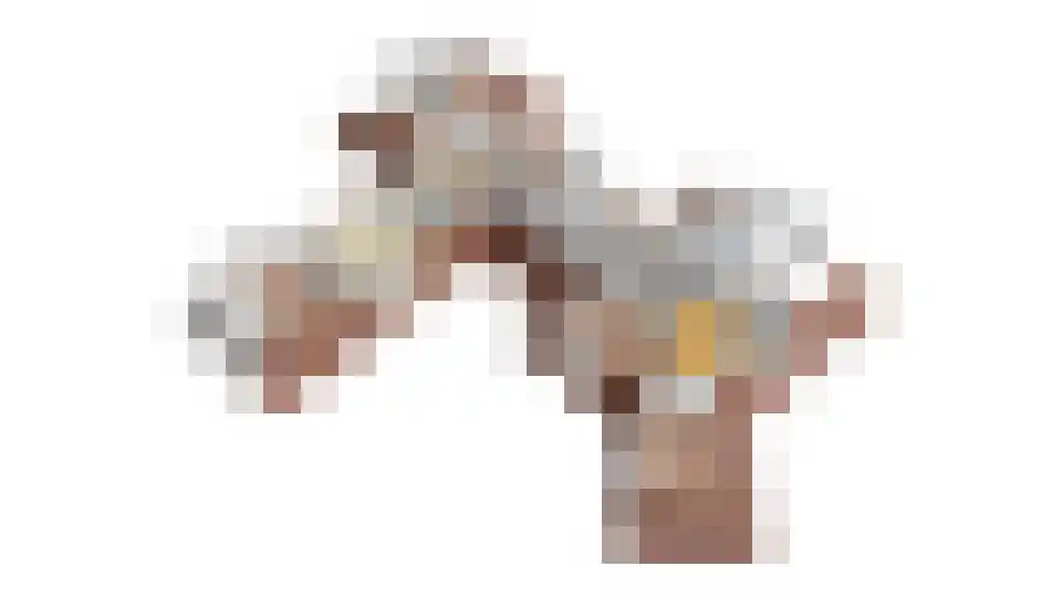 Kerkedennen 51 Borne thumbnail 79