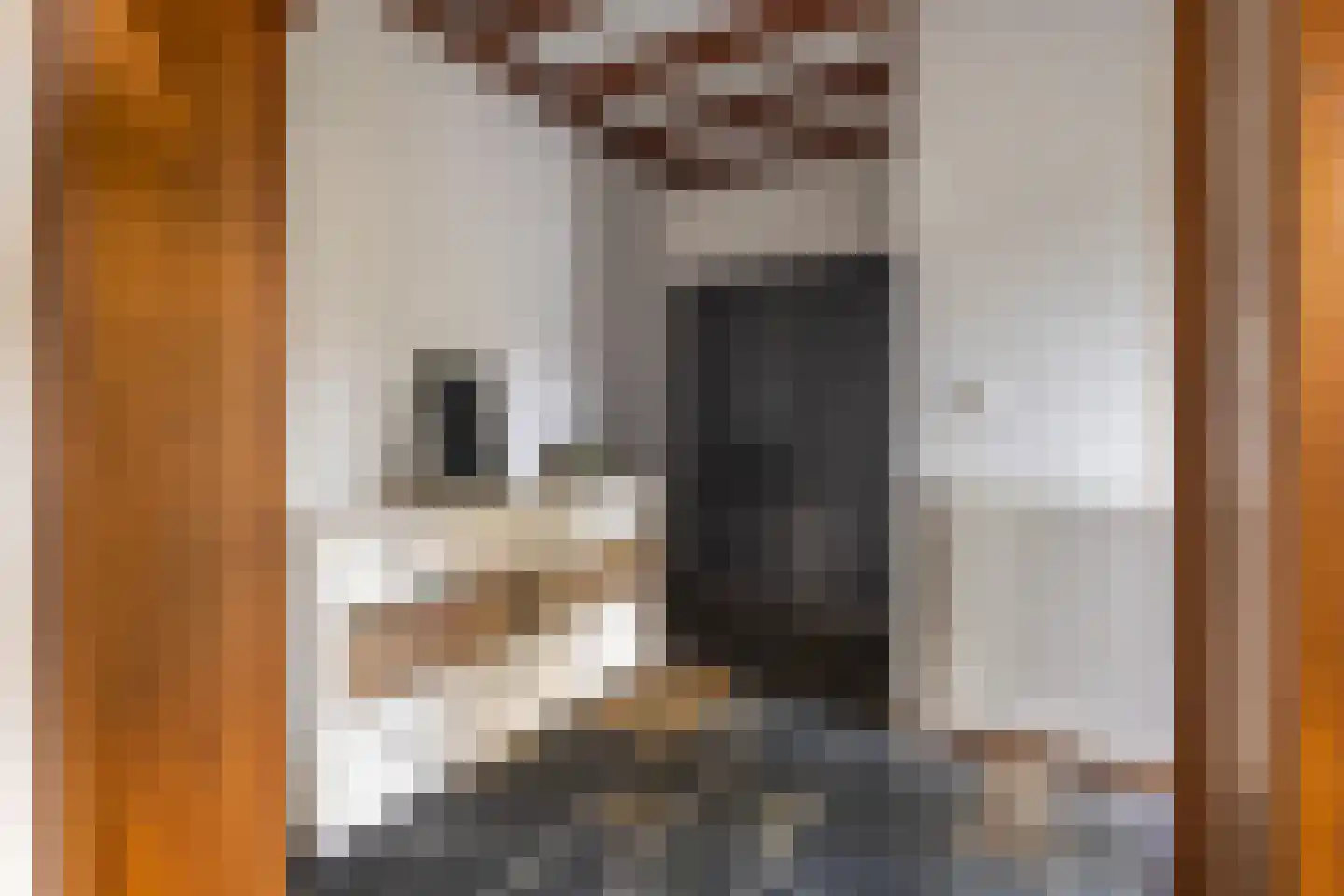 Kerkedennen 51 Borne thumbnail 8