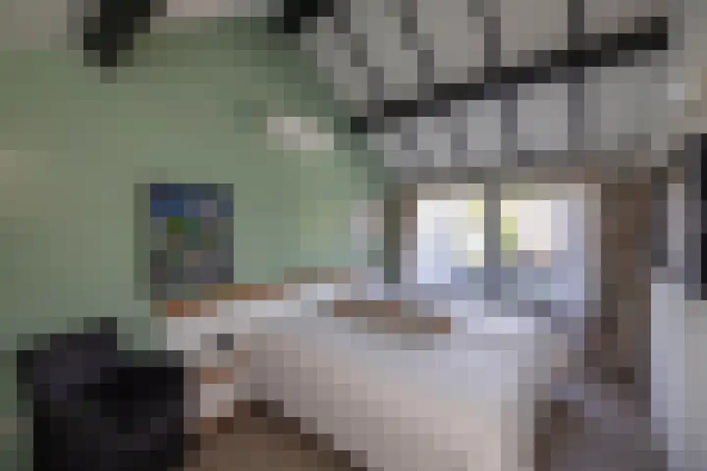 Kerkedennen 59 Borne thumbnail 25