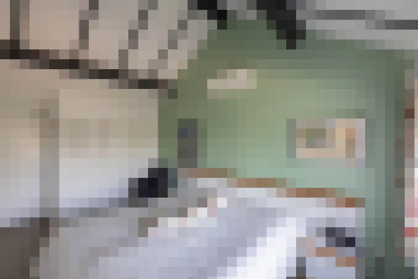 Kerkedennen 59 Borne thumbnail 26