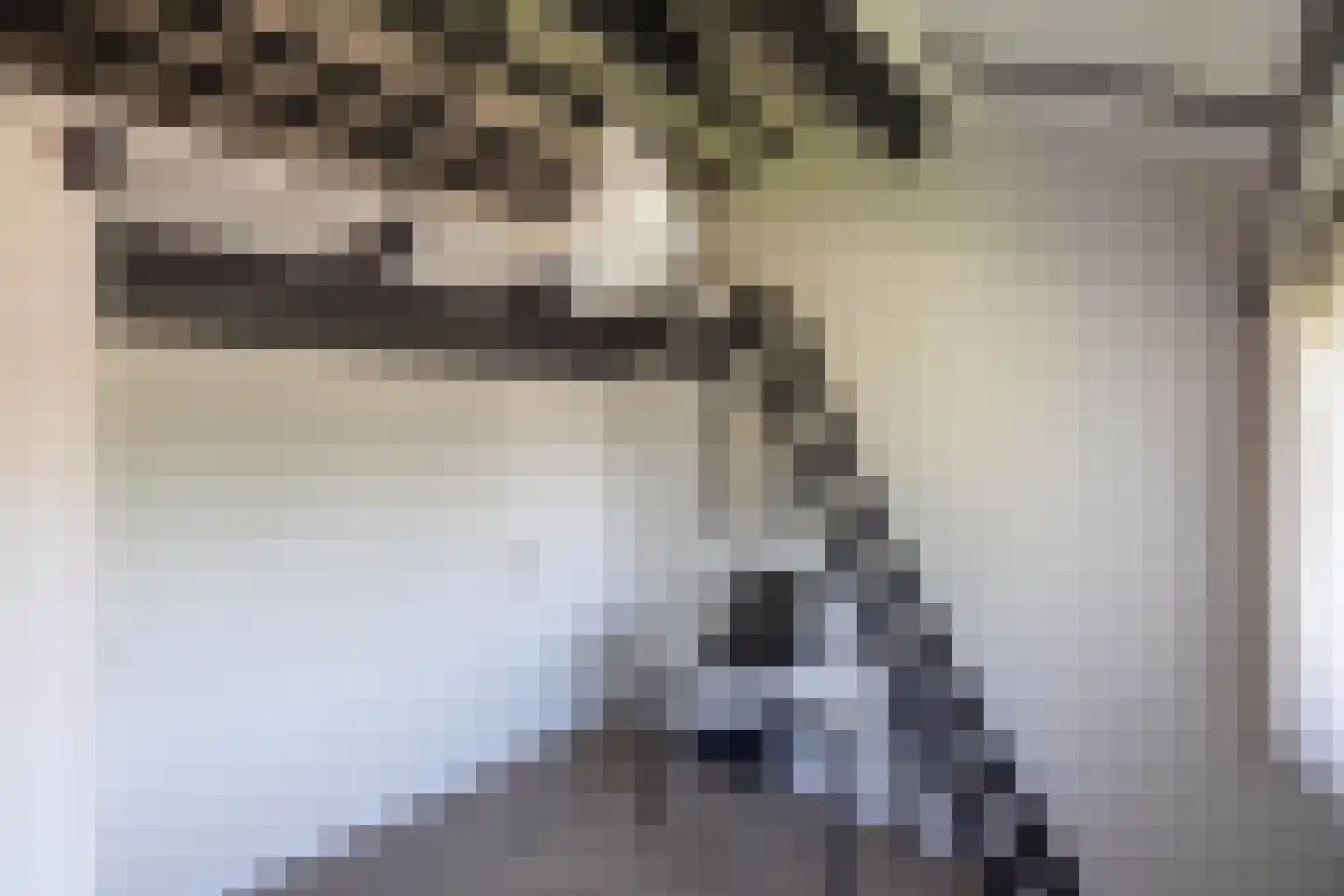 Kerkedennen 59 Borne thumbnail 29